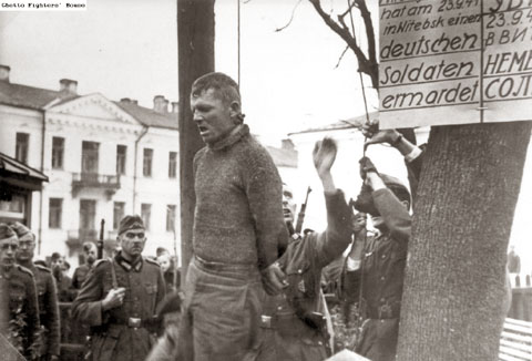 z partisan